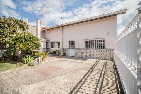 Villa i Cantanhede, Coimbra, Cantanhede - € 349.000 | Ref: C0372-01841 - foto 23