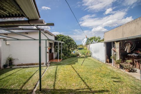 Villa i Cantanhede, Coimbra, Cantanhede - € 349.000 | Ref: C0372-01841 - foto 35