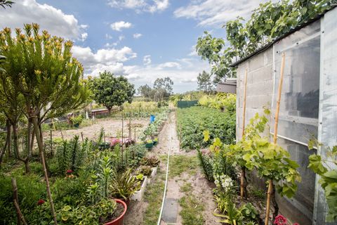 Villa i Cantanhede, Coimbra, Cantanhede - € 349.000 | Ref: C0372-01841 - foto 41