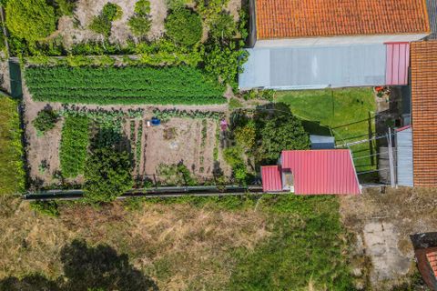 Villa i Cantanhede, Coimbra, Cantanhede - € 349.000 | Ref: C0372-01841 - foto 45