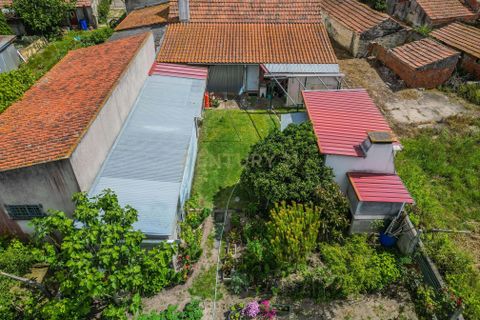 Villa i Cantanhede, Coimbra, Cantanhede - € 349.000 | Ref: C0372-01841 - foto 46