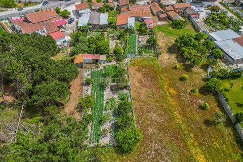 Villa i Cantanhede, Coimbra, Cantanhede - € 349.000 | Ref: C0372-01841 - foto 49