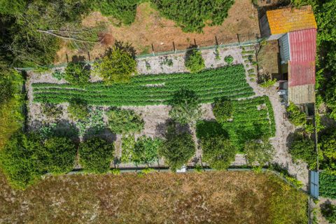 Villa i Cantanhede, Coimbra, Cantanhede - € 349.000 | Ref: C0372-01841 - foto 50
