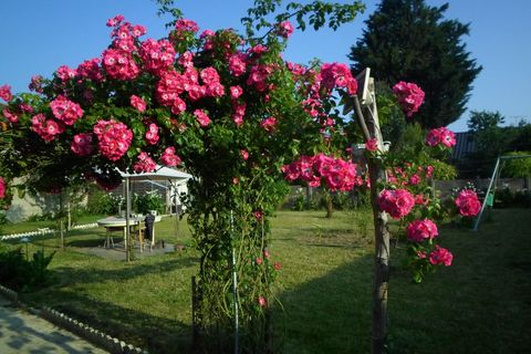 Estudi a Merdrignac, Cotes-d'Armor, Merdrignac - € 308/mes | Ref: 879065 - foto 4