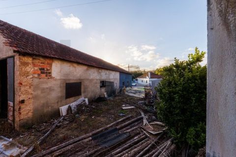 Villa a Abrantes, Santarem, Abrantes - € 397.000 | Ref: KWPT-032967 - foto 44