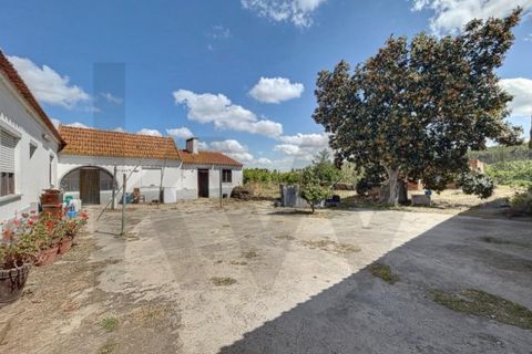 Villa i Almeirim, Santarem, Almeirim - € 330.000 | Ref: KWPT-032312 - foto 1