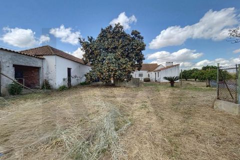Villa i Almeirim, Santarem, Almeirim - € 330.000 | Ref: KWPT-032312 - foto 12
