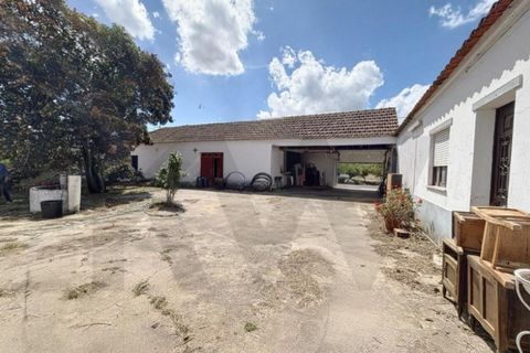 Villa i Almeirim, Santarem, Almeirim - € 330.000 | Ref: KWPT-032312 - foto 13