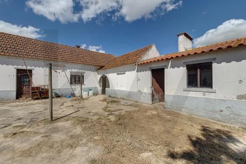 Villa i Almeirim, Santarem, Almeirim - € 330.000 | Ref: KWPT-032312 - foto 16