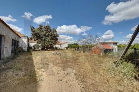 Villa i Almeirim, Santarem, Almeirim - € 330.000 | Ref: KWPT-032312 - foto 17
