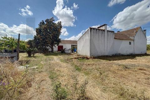 Villa i Almeirim, Santarem, Almeirim - € 330.000 | Ref: KWPT-032312 - foto 37