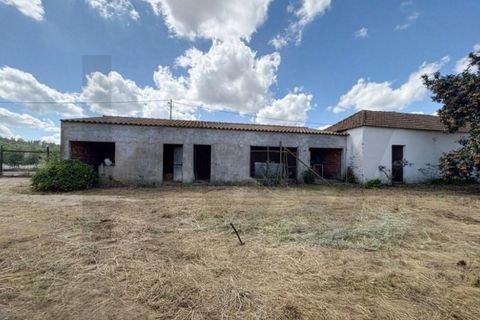 Villa i Almeirim, Santarem, Almeirim - € 330.000 | Ref: KWPT-032312 - foto 38