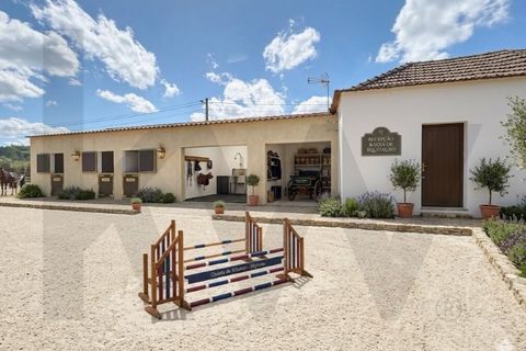 Villa i Almeirim, Santarem, Almeirim - € 330.000 | Ref: KWPT-032312 - foto 39