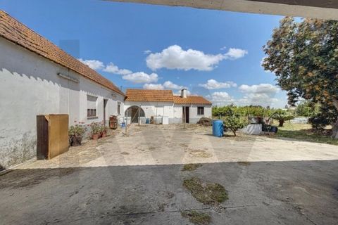 Villa i Almeirim, Santarem, Almeirim - € 330.000 | Ref: KWPT-032312 - foto 40