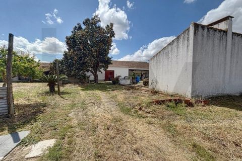 Villa i Almeirim, Santarem, Almeirim - € 330.000 | Ref: KWPT-032312 - foto 41