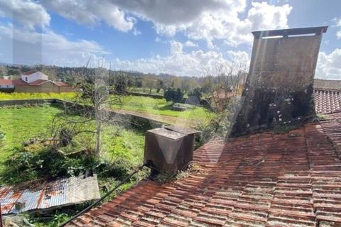 Villa i Macinhata do Vouga, Aveiro, Macinhata do Vouga - € 125.000 | Ref: KWPT-032933 - foto 43