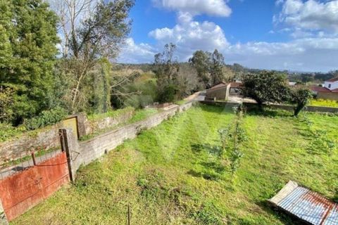 Villa i Macinhata do Vouga, Aveiro, Macinhata do Vouga - € 125.000 | Ref: KWPT-032933 - foto 44