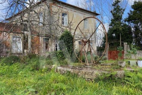 Villa i Macinhata do Vouga, Aveiro, Macinhata do Vouga - € 125.000 | Ref: KWPT-032933 - foto 45