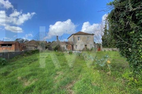 Villa i Macinhata do Vouga, Aveiro, Macinhata do Vouga - € 125.000 | Ref: KWPT-032933 - foto 46
