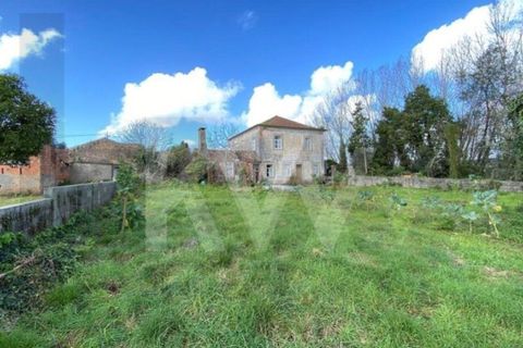 Villa i Macinhata do Vouga, Aveiro, Macinhata do Vouga - € 125.000 | Ref: KWPT-032933 - foto 47