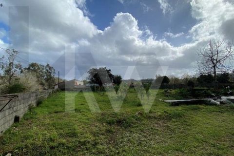 Villa i Macinhata do Vouga, Aveiro, Macinhata do Vouga - € 125.000 | Ref: KWPT-032933 - foto 48