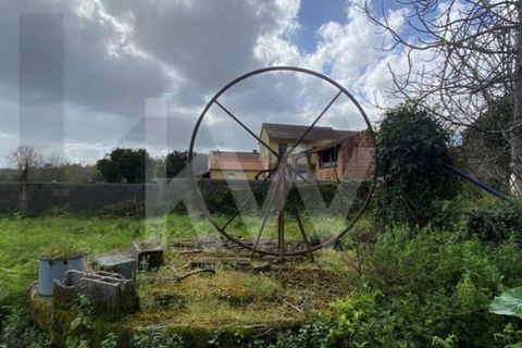 Villa i Macinhata do Vouga, Aveiro, Macinhata do Vouga - € 125.000 | Ref: KWPT-032933 - foto 49