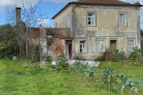 Villa i Macinhata do Vouga, Aveiro, Macinhata do Vouga - € 125.000 | Ref: KWPT-032933 - foto 50