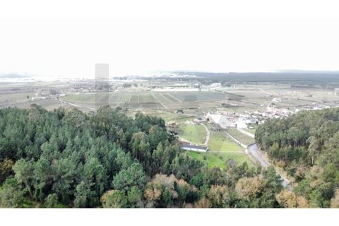 Villa a Maiorga, Leiria, Maiorga - € 270.000 | Ref: KWPT-026528 - foto 50