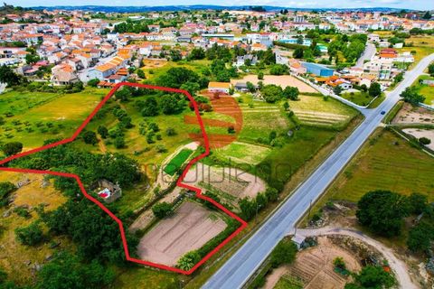 Terra a Meda, Guarda, Meda - € 120.000 | Ref: 540/MDA - foto 2