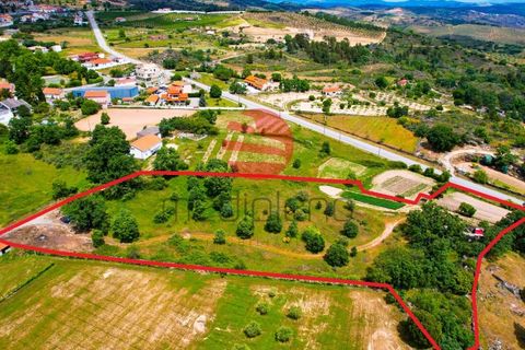 Terra a Meda, Guarda, Meda - € 120.000 | Ref: 540/MDA - foto 3