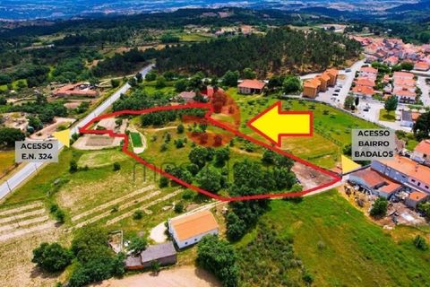 Terra a Meda, Guarda, Meda - € 120.000 | Ref: 540/MDA - foto 4