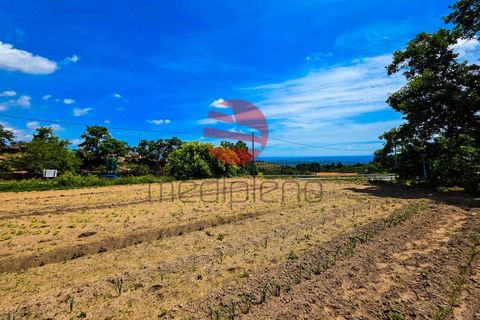 Terra a Meda, Guarda, Meda - € 120.000 | Ref: 540/MDA - foto 5