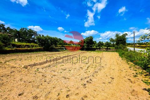 Terra a Meda, Guarda, Meda - € 120.000 | Ref: 540/MDA - foto 6