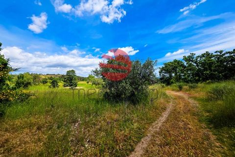 Terra a Meda, Guarda, Meda - € 120.000 | Ref: 540/MDA - foto 8