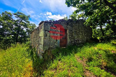 Terra a Meda, Guarda, Meda - € 120.000 | Ref: 540/MDA - foto 9