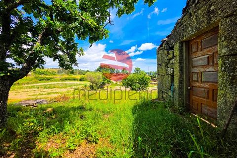 Terra a Meda, Guarda, Meda - € 120.000 | Ref: 540/MDA - foto 10