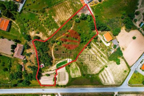 Terra a Meda, Guarda, Meda - € 120.000 | Ref: 540/MDA - foto 11