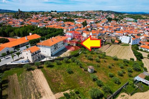 Villa i Meda, Guarda, Meda - € 85.000 | Ref: 539/MDA - foto 24