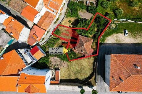 Villa i Meda, Guarda, Meda - € 85.000 | Ref: 539/MDA - foto 26