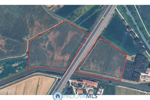 Terra a Pernumia, Padua, Pernumia - € 190.000 | Ref: M2202 - foto 2