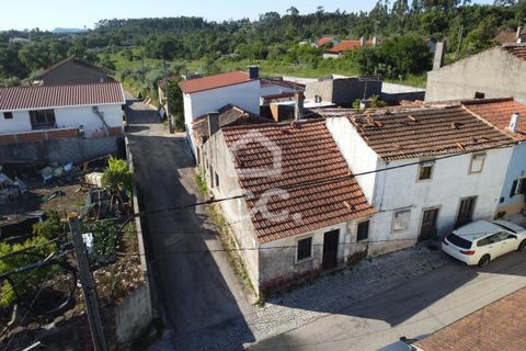 Villa i Ansiao, Leiria, Ansiao - € 42.500 | Ref: 385/M/01057 - foto 14