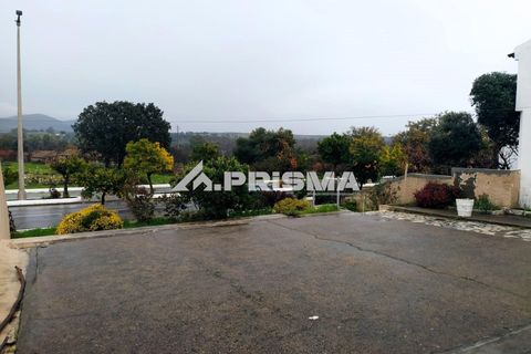 Rækkehus i Idanha-a-Nova, Castelo Branco, Idanha-a-Nova - € 52.900 | Ref: PP4768 - foto 4