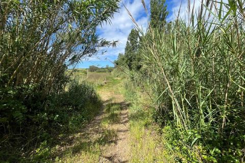Helårsgrund i Mafra, Lisbon, Mafra - € 30.000 | Ref: KWPT-032510 - foto 7