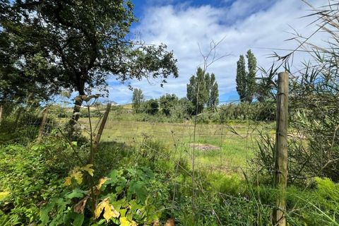 Helårsgrund i Mafra, Lisbon, Mafra - € 30.000 | Ref: KWPT-032510 - foto 8