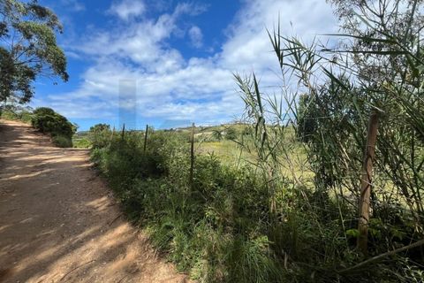 Helårsgrund i Mafra, Lisbon, Mafra - € 30.000 | Ref: KWPT-032510 - foto 10