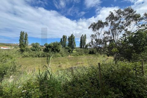 Helårsgrund i Mafra, Lisbon, Mafra - € 30.000 | Ref: KWPT-032510 - foto 15