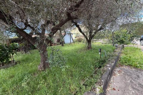 Byhus i Luni, La Spezia, Luni - € 240.000 | Ref: 107988 - foto 11