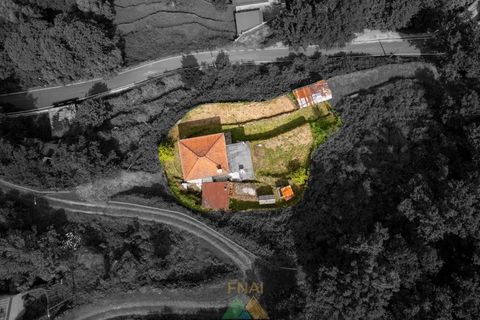 Villa i Ponte da Barca, Viana do Castelo, Ponte da Barca - € 150.000 | Ref: AVV-005-045 - foto 34