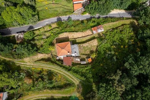 Villa i Ponte da Barca, Viana do Castelo, Ponte da Barca - € 150.000 | Ref: AVV-005-045 - foto 36