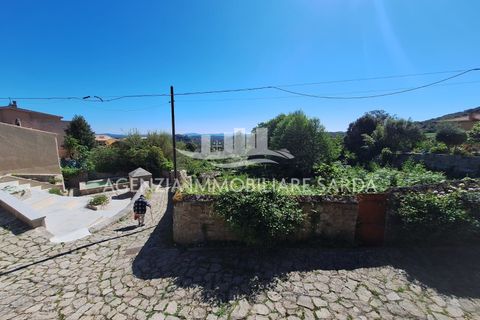 Tomt i Aglientu, Sassari, Aglientu - € 35 000 | Ref: AGL58 - foto 6
